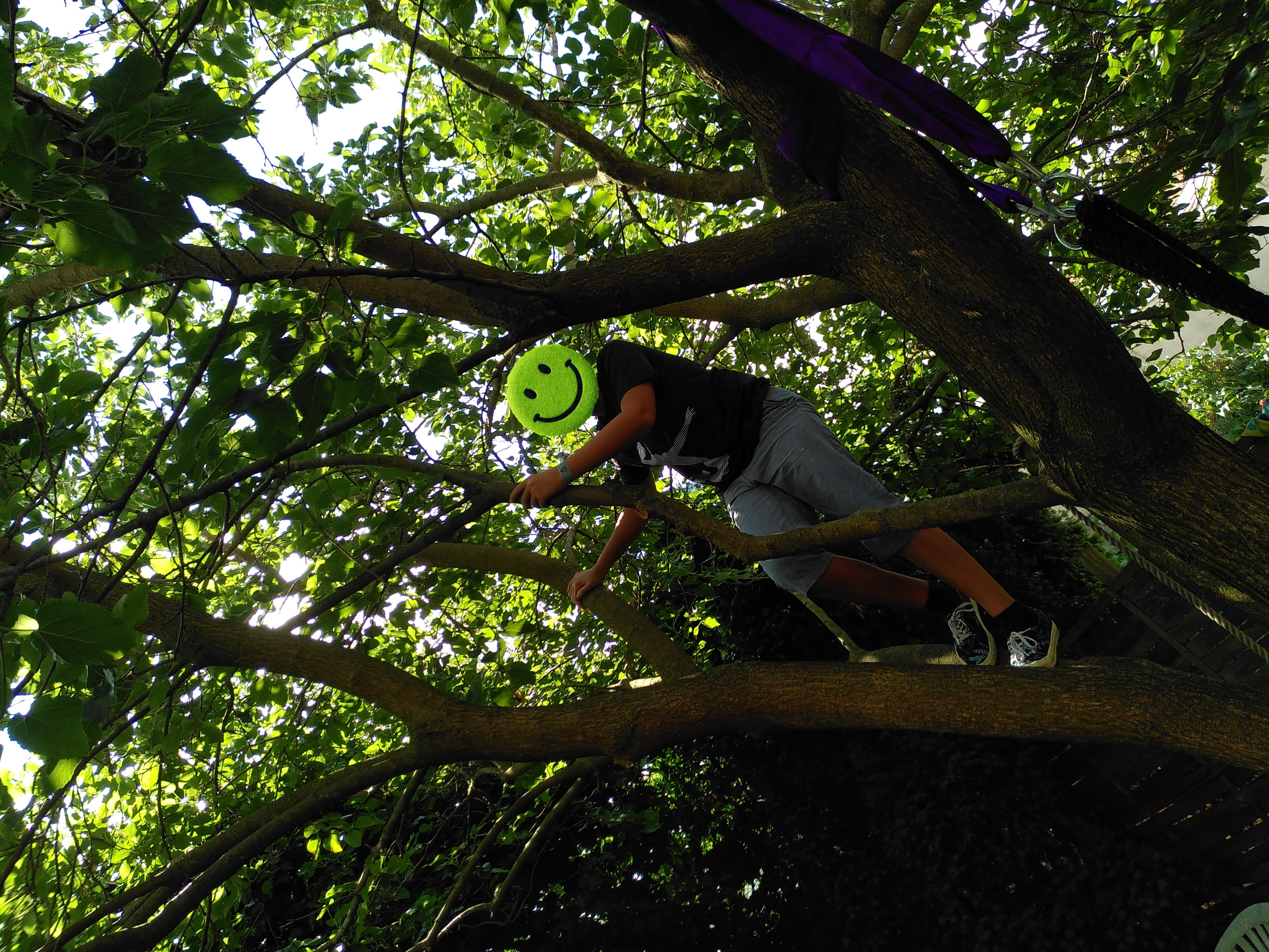 Élménytanulás Virtuáliskola erdőmerülés 2025