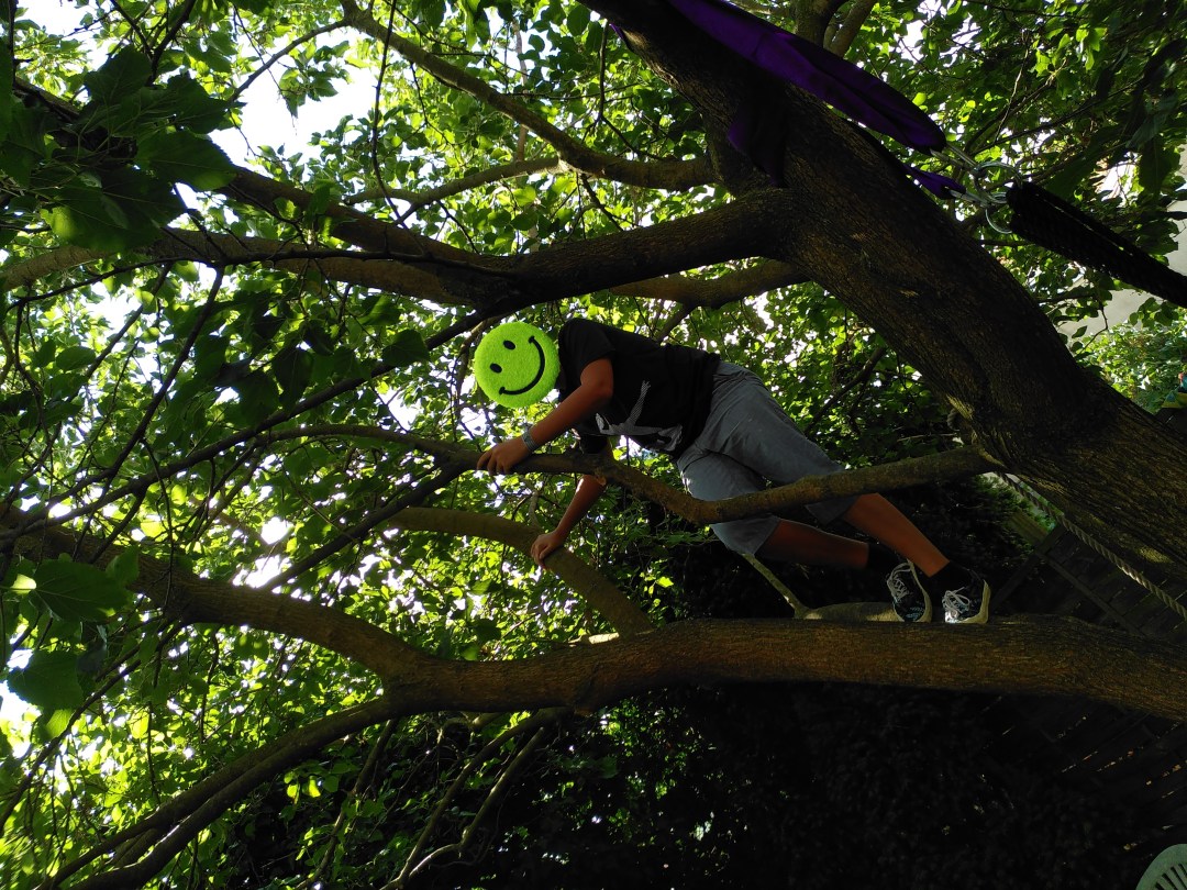 Élménytanulás Virtuáliskola erdőmerülés 2025